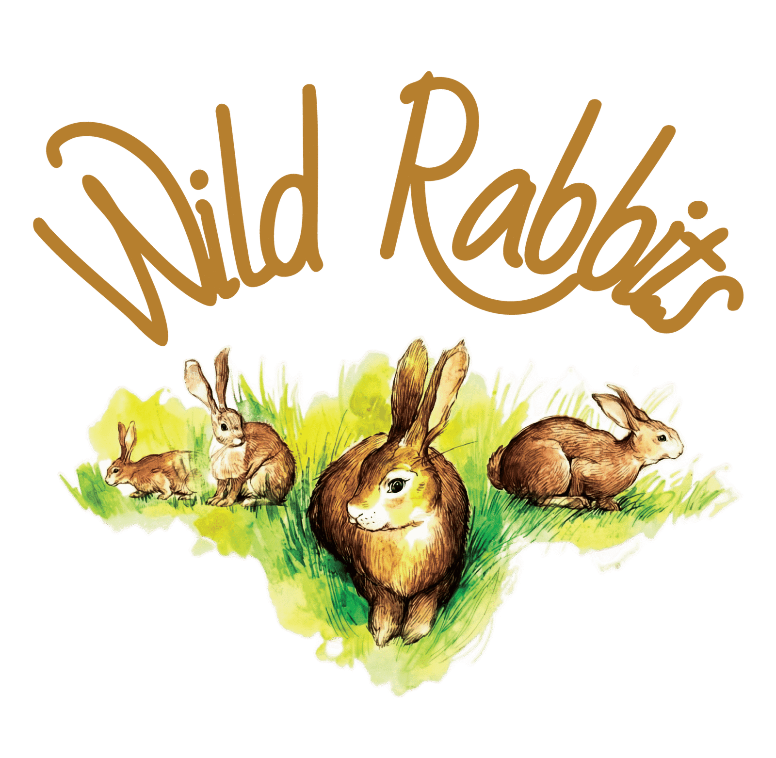 Wild Rabbits Products | Vegan Food Sri Lanka